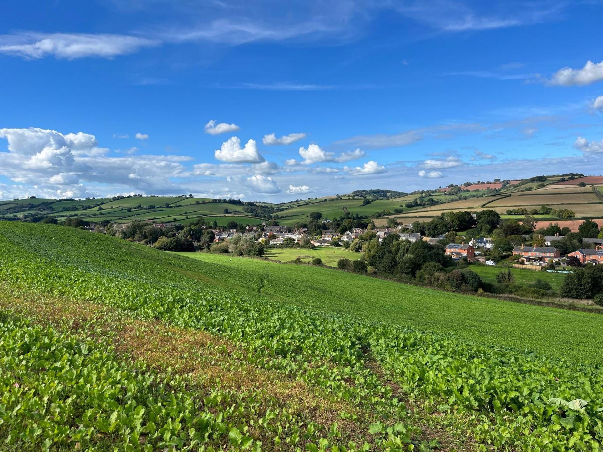 Thorverton Arms Phòng bức ảnh